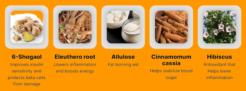 Glucovy